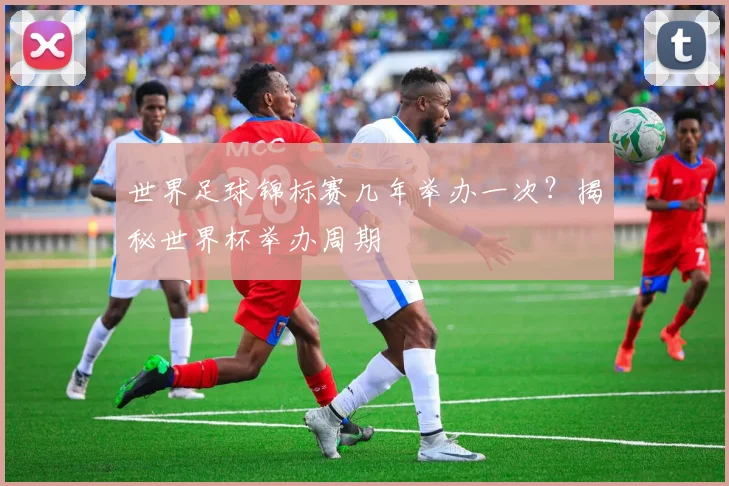 世界足球锦标赛几年举办一次?揭秘世界杯举办周期